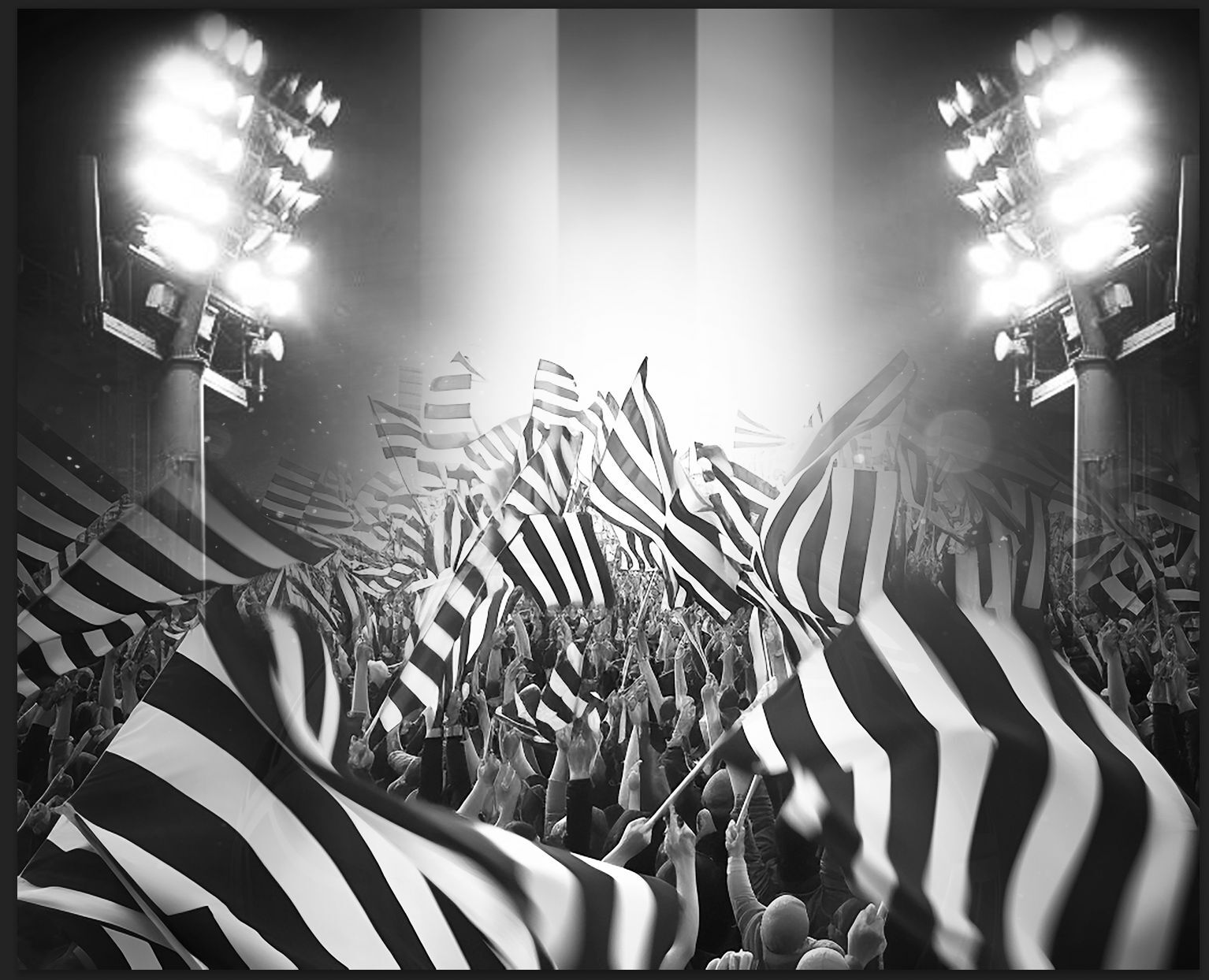 Newcastle united flags